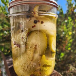 Dill Pickles