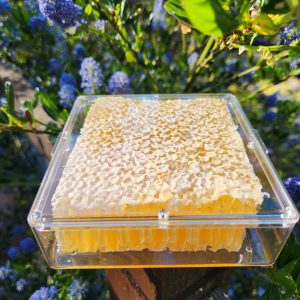 Cut Comb Honey