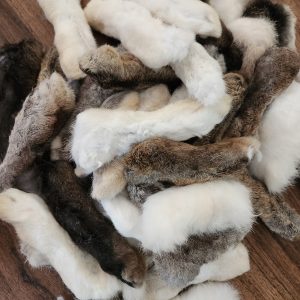 Lucky Rabbit’s Foot/Tail