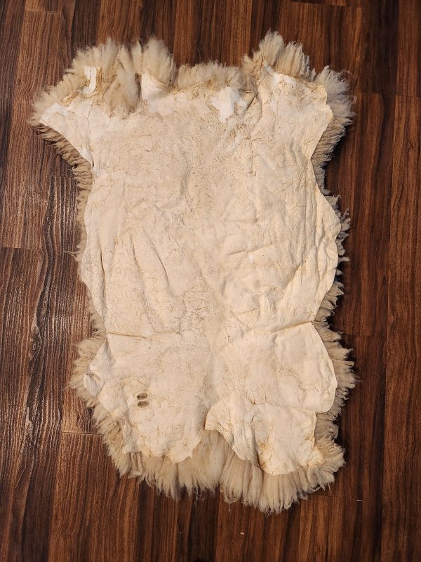 Sheepskin Rug- White - Image 4