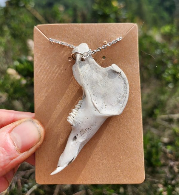 Rabbit Jaw Necklace