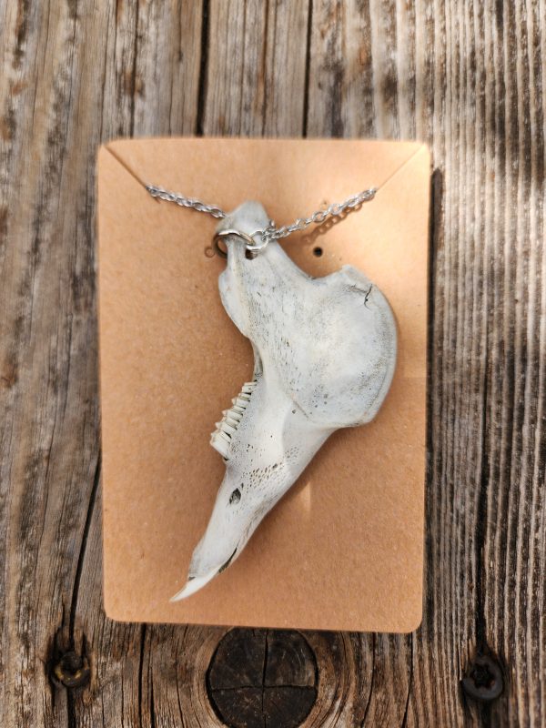 Rabbit Jaw Necklace - Image 3