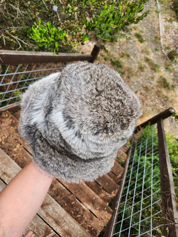 Rabbit Fur Bucket Hat (Grey) - Image 2