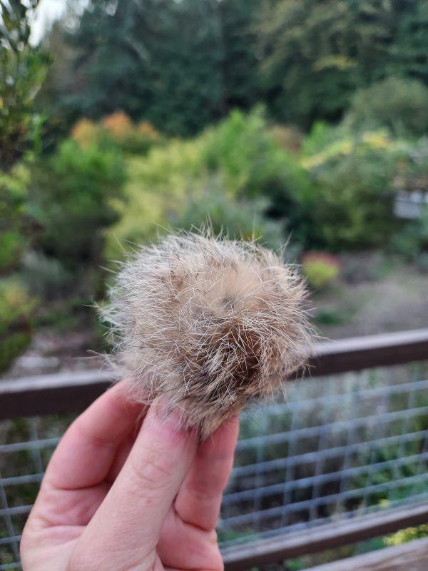 Rabbit Fur Hair Clip - Image 6
