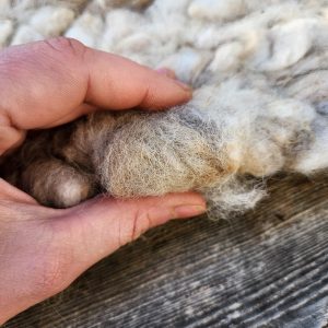 Handwoven Alpaca Rug- Caramel