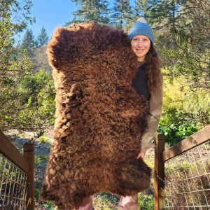 Sheepskin Rug- Chocolate XL