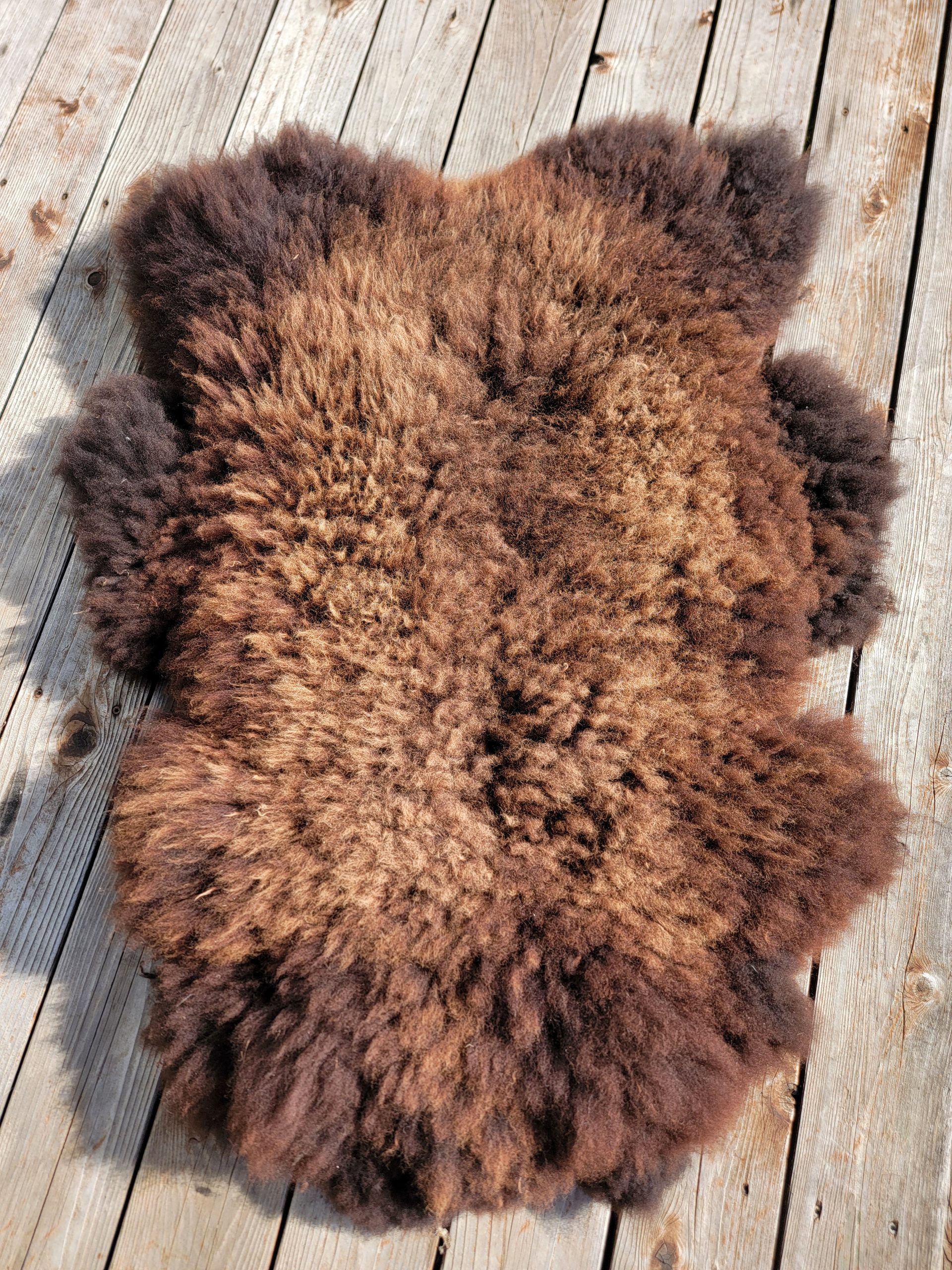 Sheepskin Rug- Chocolate