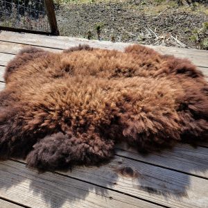 Sheepskin Rug- Chocolate