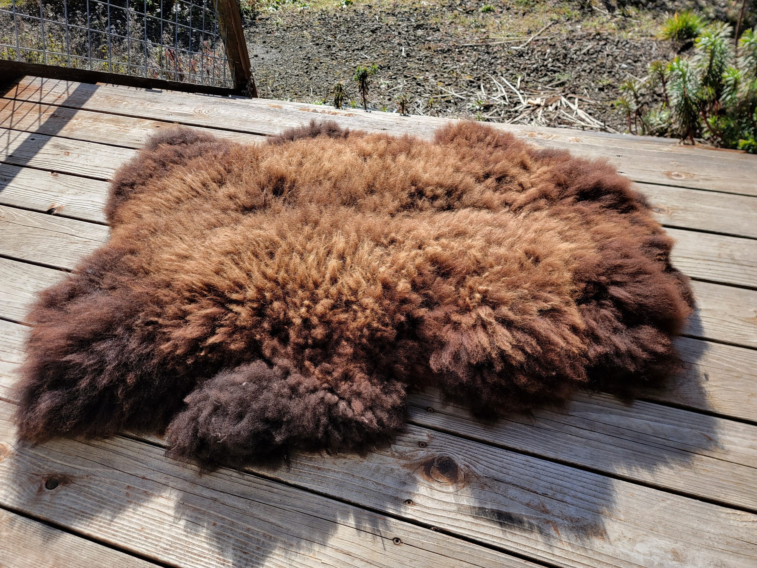 Sheepskin Rug- Chocolate - Image 2