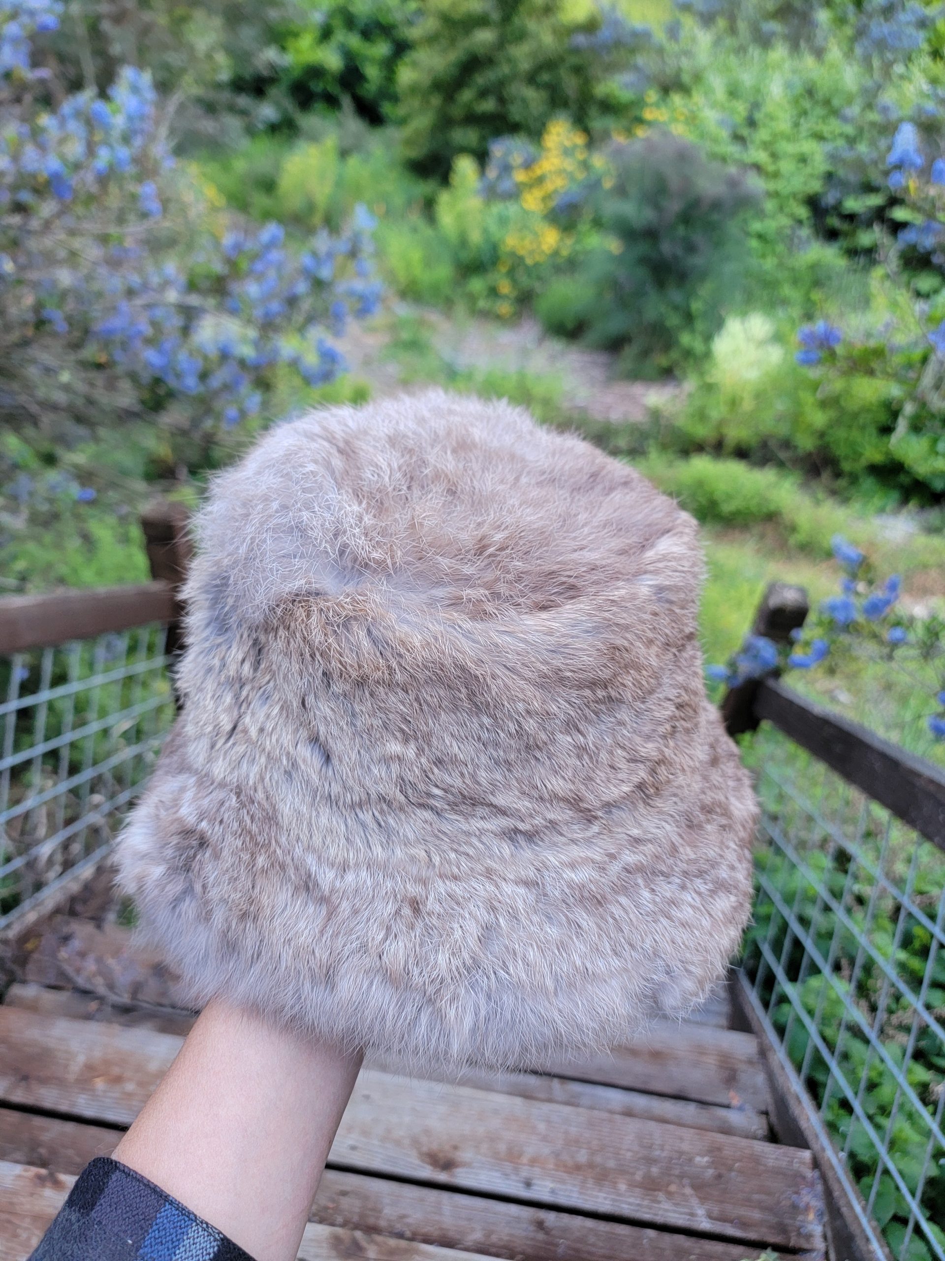Rabbit Fur Bucket Hat (Brown)