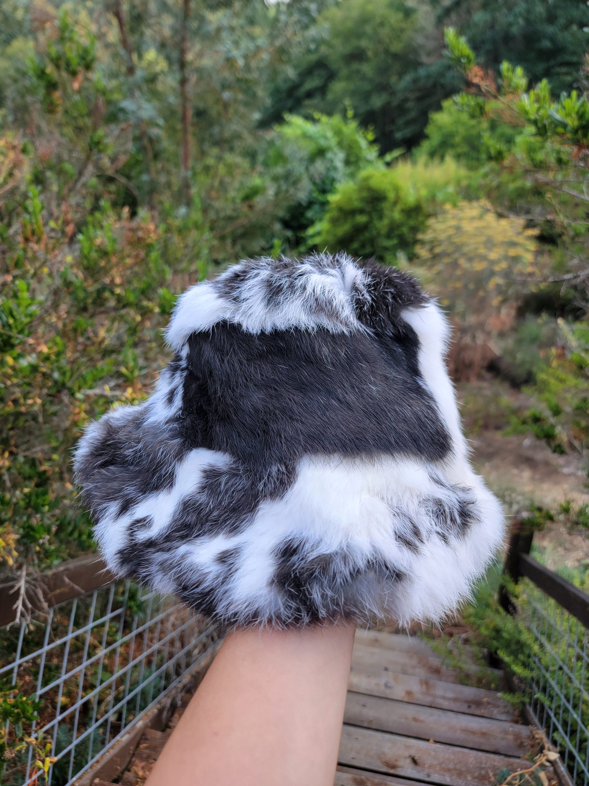 Rabbit Fur Bucket Hat- (Black & White) - Image 2