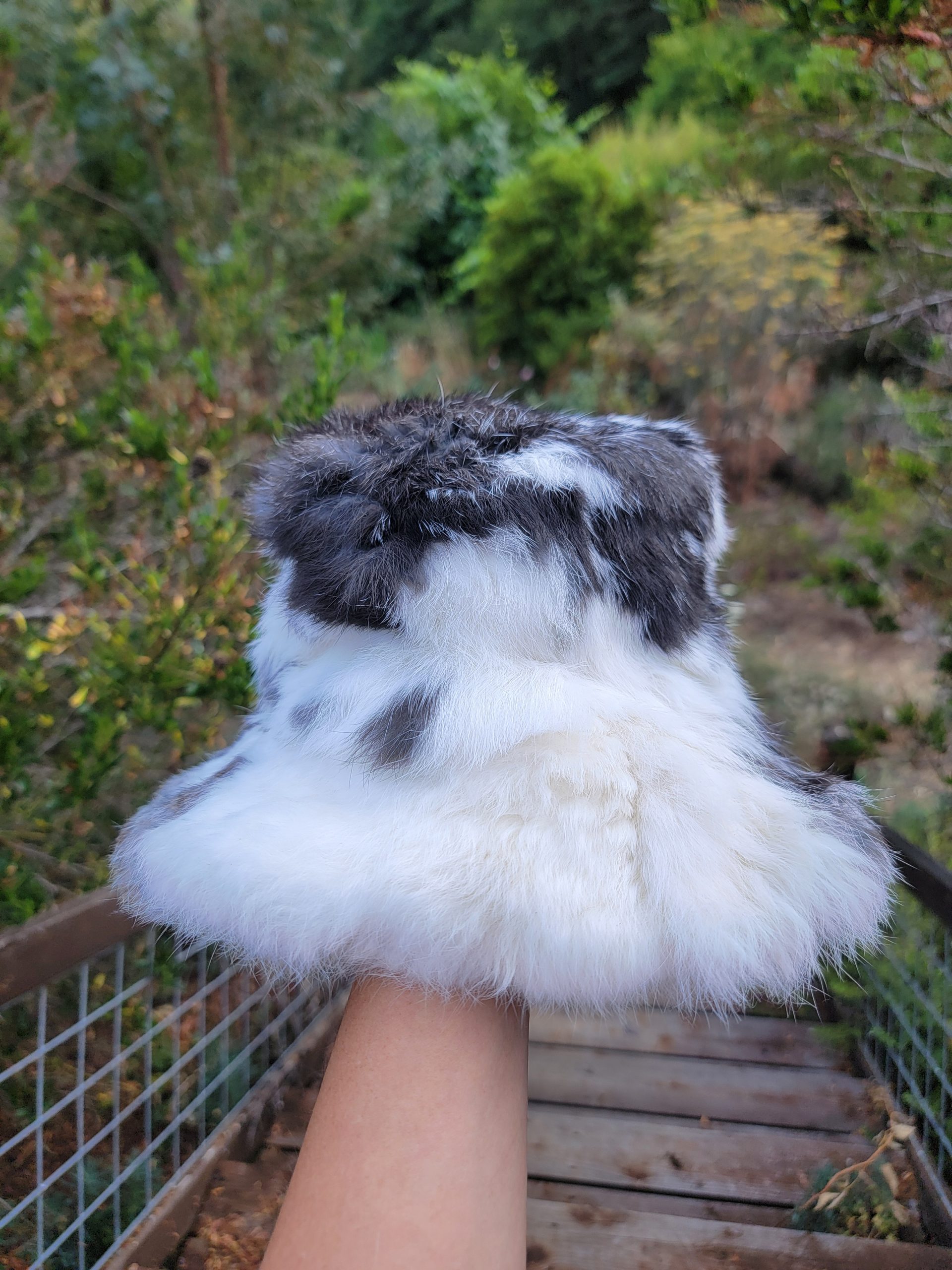 Rabbit Fur Bucket Hat- (Black & White) - Image 3